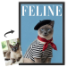 Capa da revista FELINE a partir de uma foto