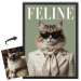Capa da revista FELINE a partir de uma foto