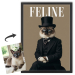 Capa da revista FELINE a partir de uma foto