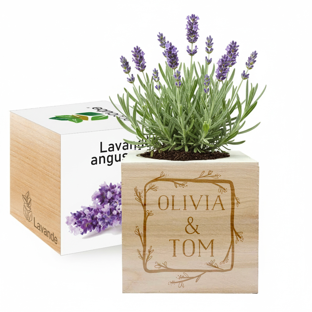 EcoCube personalizado Quadro flor